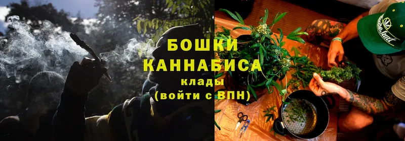 Каннабис OG Kush  Закаменск 